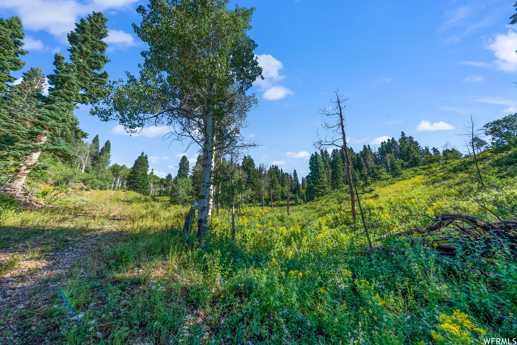 S S, Park City, Utah 84068, ,Land,For sale,1900499