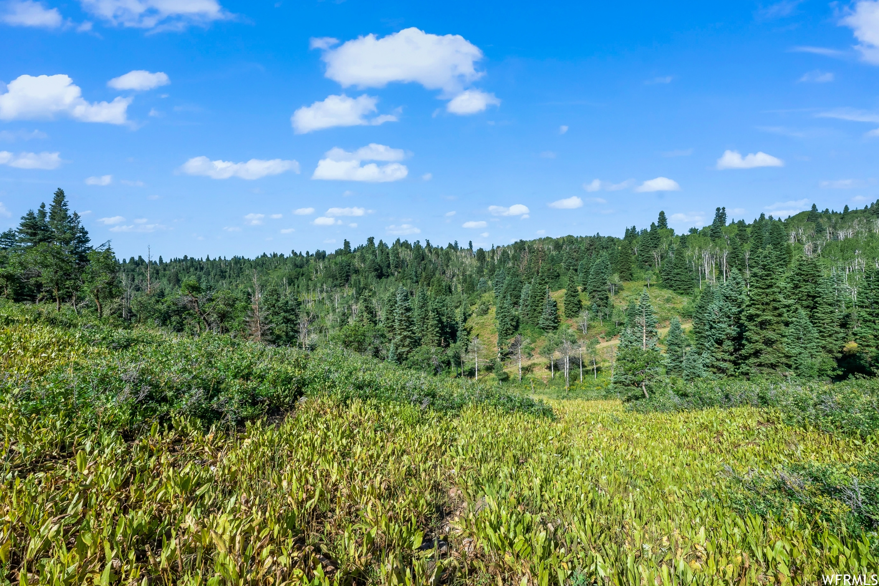 S S, Park City, Utah 84068, ,Land,For sale,1900499