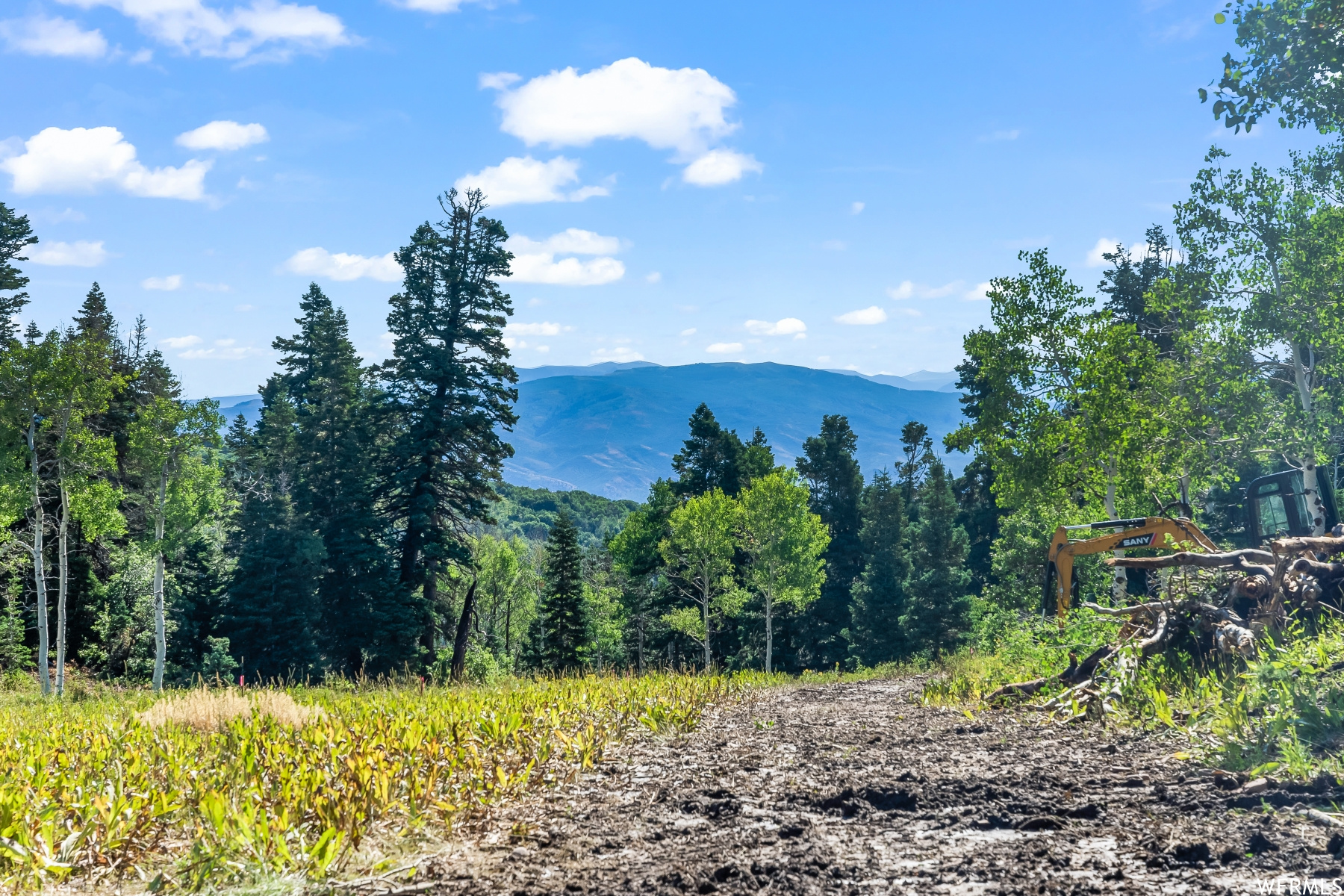 S S, Park City, Utah 84068, ,Land,For sale,1900499