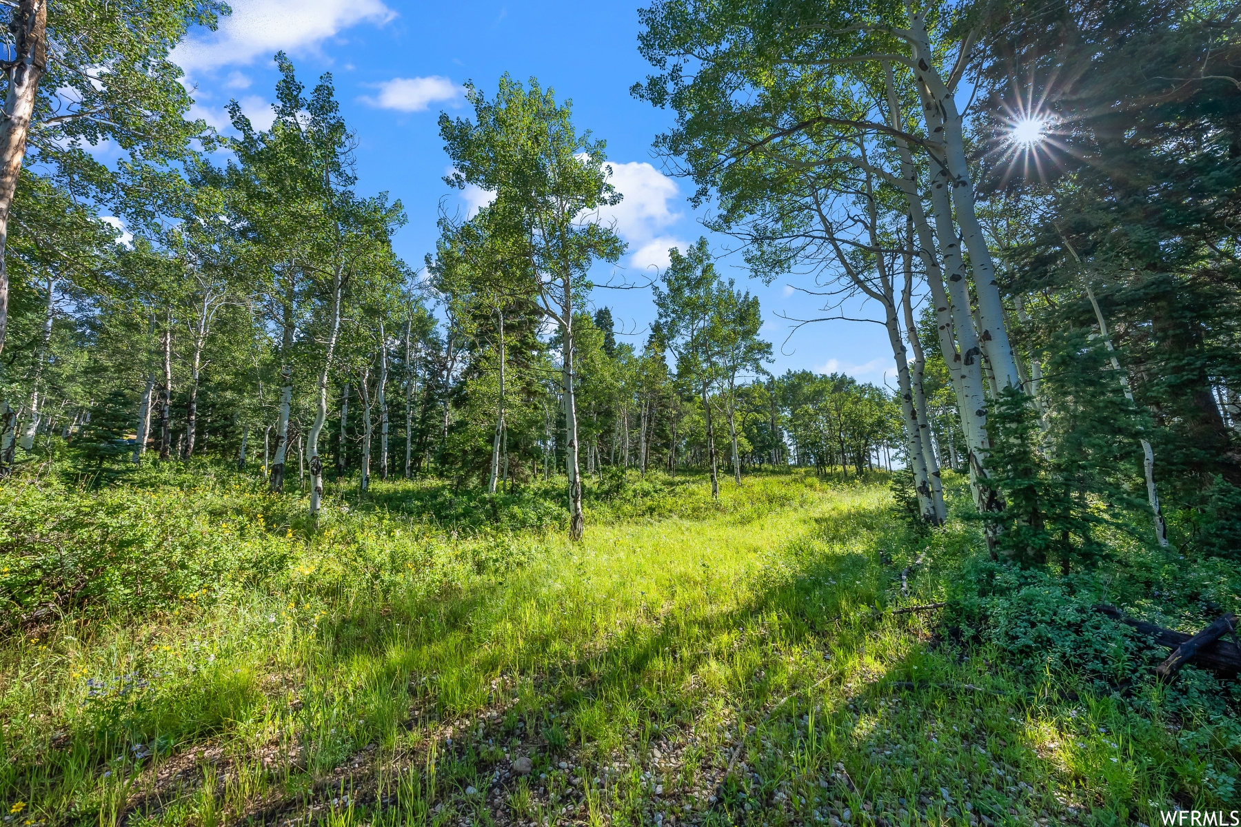 S S, Park City, Utah 84068, ,Land,For sale,1900499