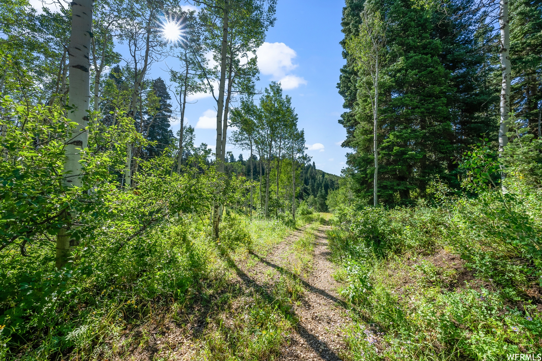 S S, Park City, Utah 84068, ,Land,For sale,1900499