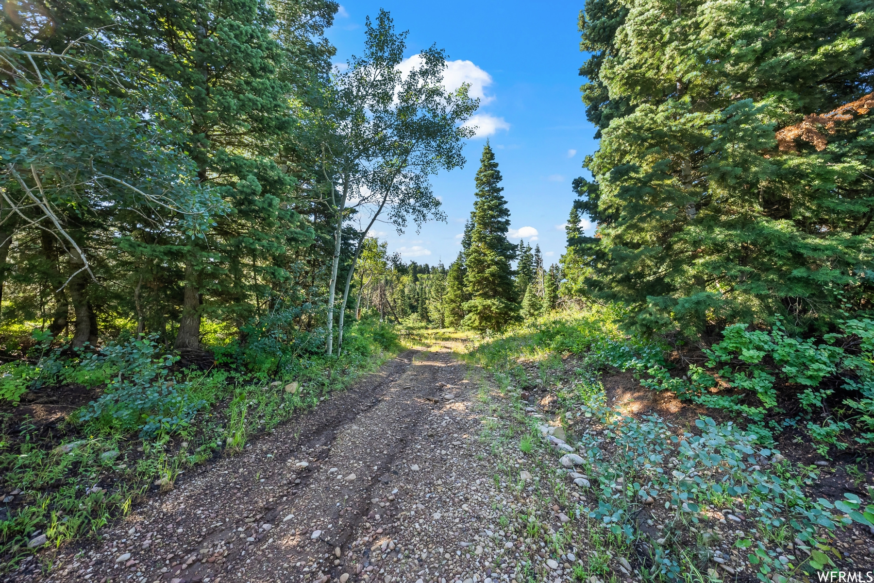 S S, Park City, Utah 84068, ,Land,For sale,1900499