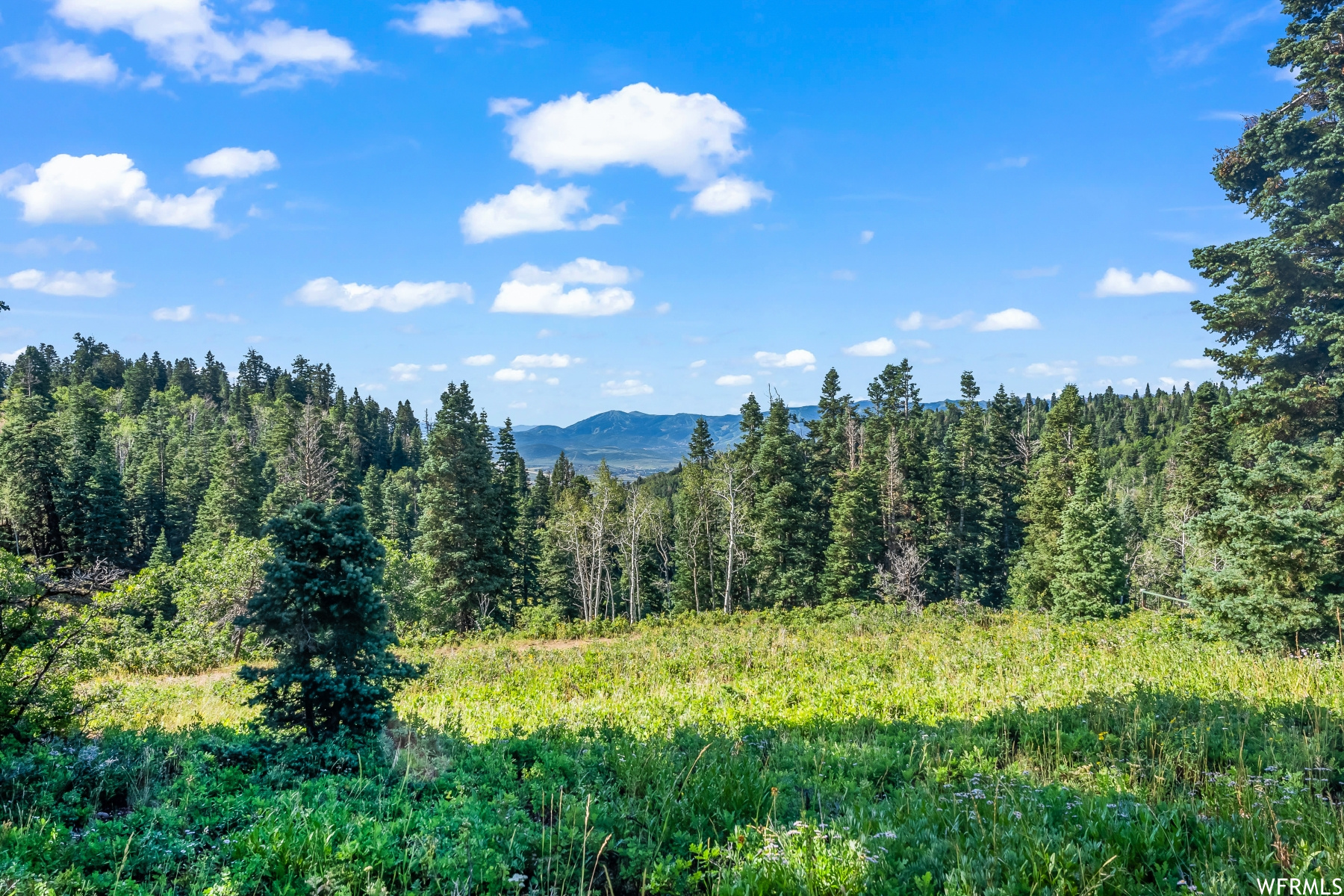 S S, Park City, Utah 84068, ,Land,For sale,1900499