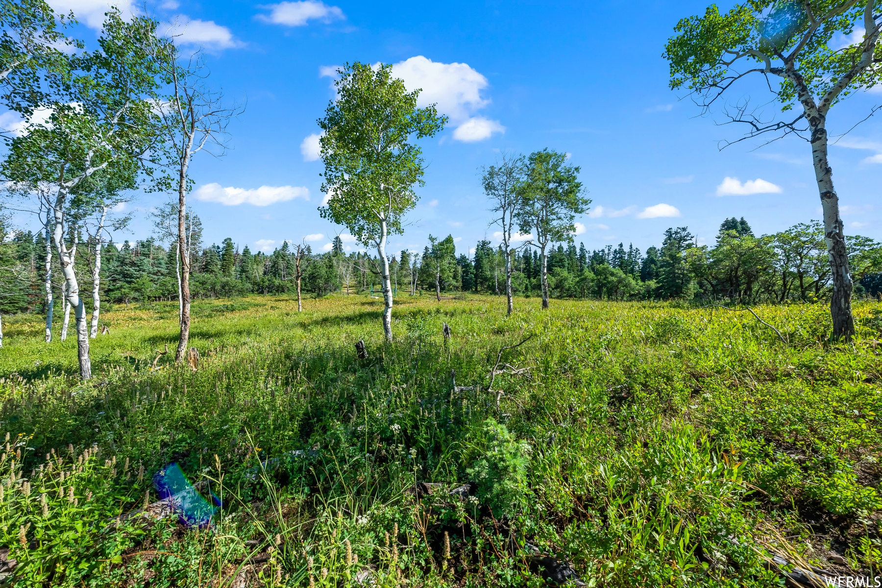 S S, Park City, Utah 84068, ,Land,For sale,1900499