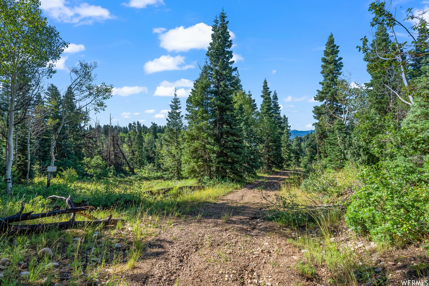 S S, Park City, Utah 84068, ,Land,For sale,1900499