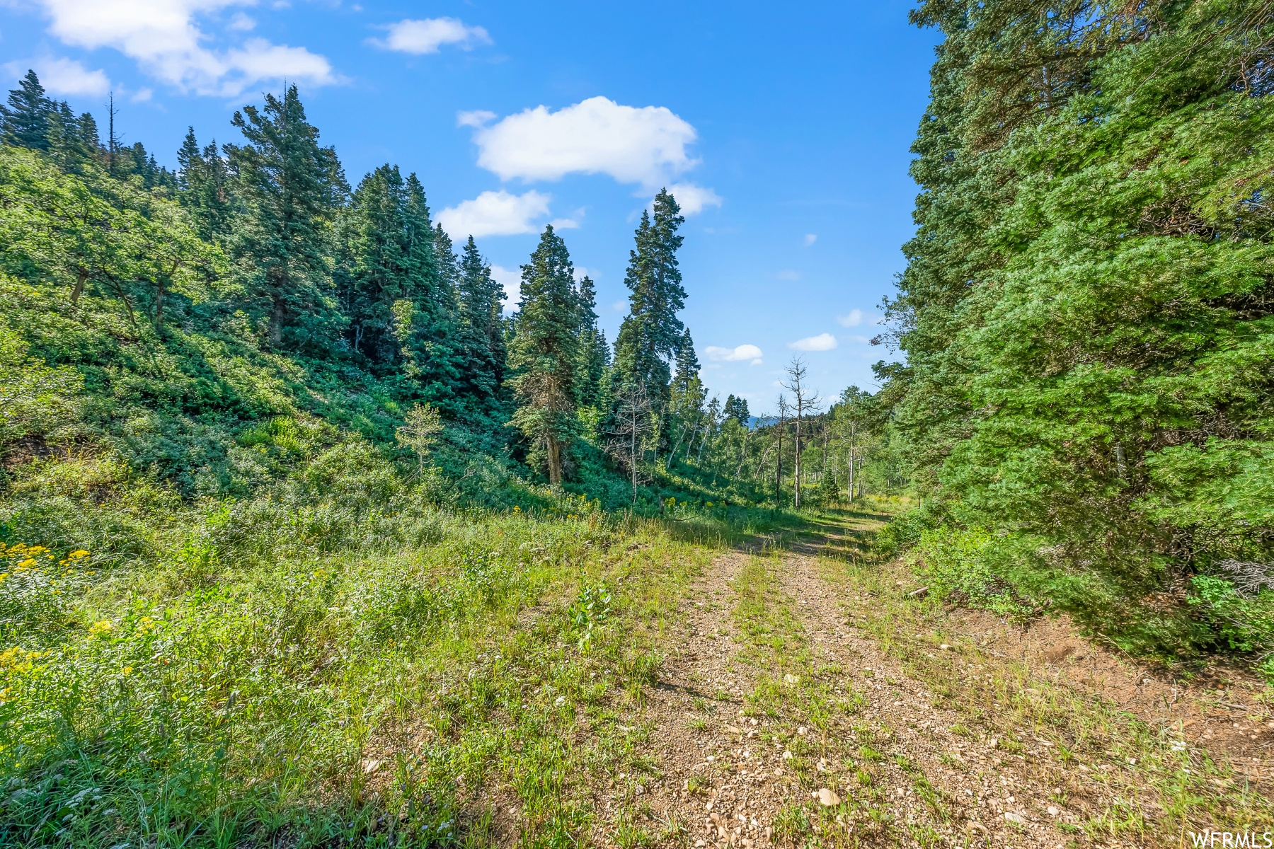 S S, Park City, Utah 84068, ,Land,For sale,1900499