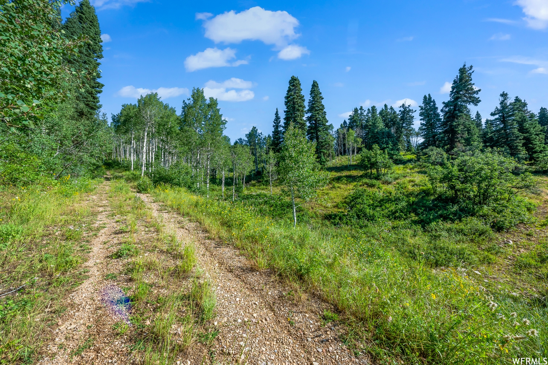 S S, Park City, Utah 84068, ,Land,For sale,1900499