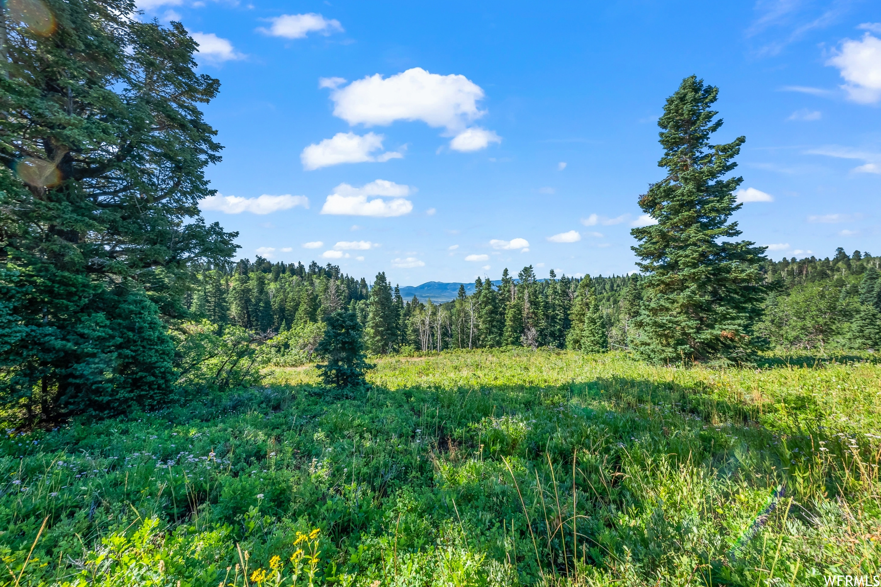 S S, Park City, Utah 84068, ,Land,For sale,1900499