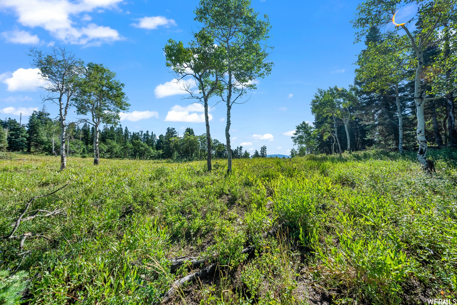 S S, Park City, Utah 84068, ,Land,For sale,1900499