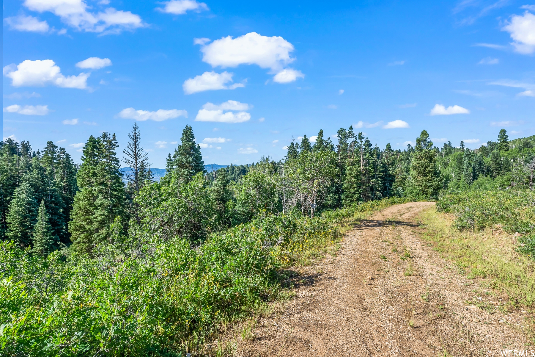 S S, Park City, Utah 84068, ,Land,For sale,1900499