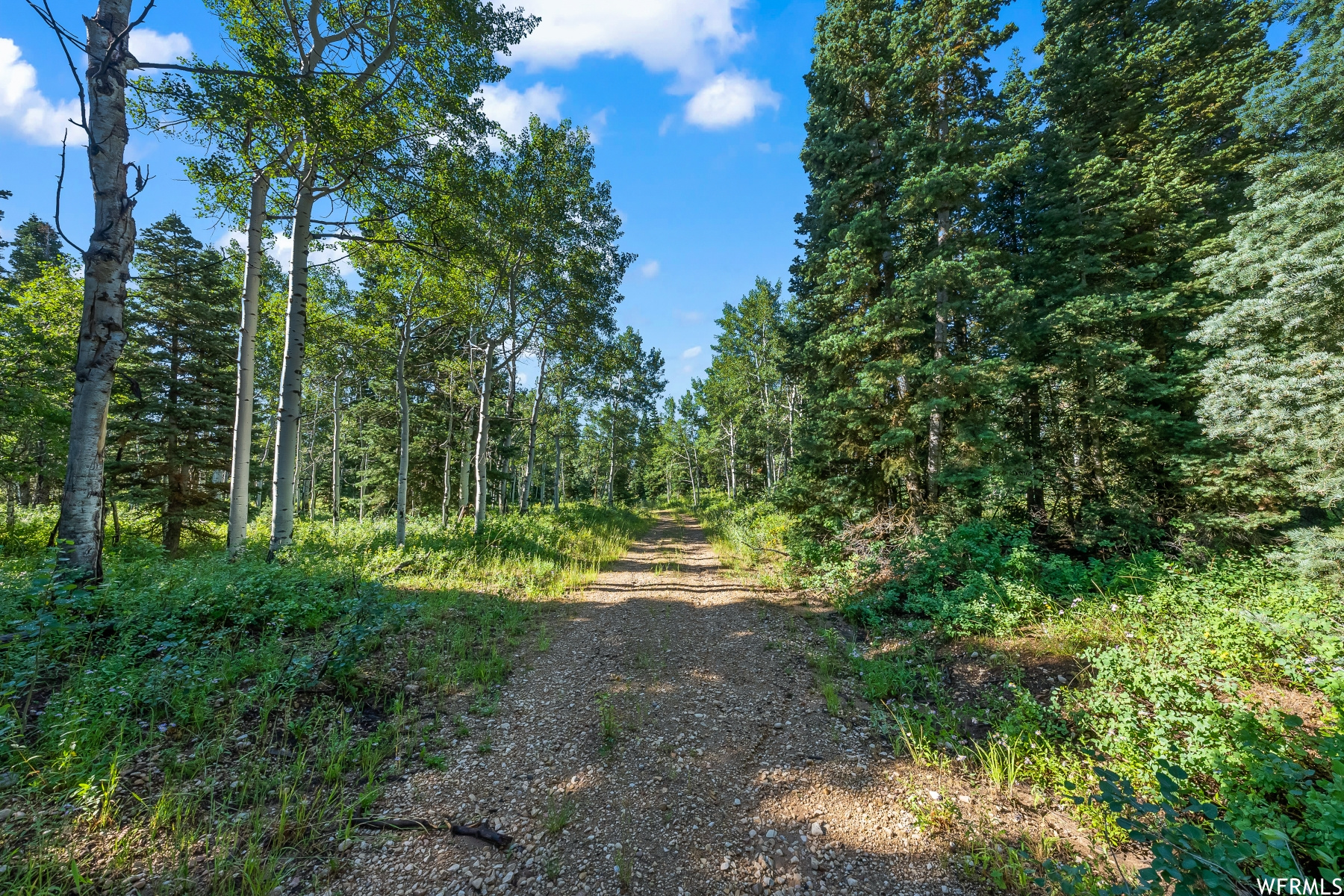 S S, Park City, Utah 84068, ,Land,For sale,1900499