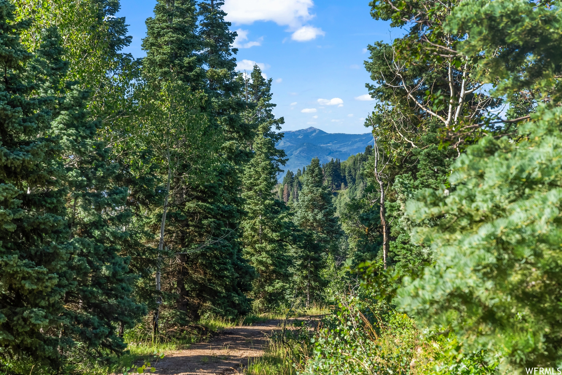 S S, Park City, Utah 84068, ,Land,For sale,1900499