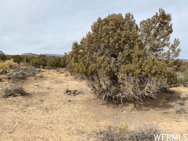 0 #5, Duchesne, Utah 84021, ,Land,For sale,1900516