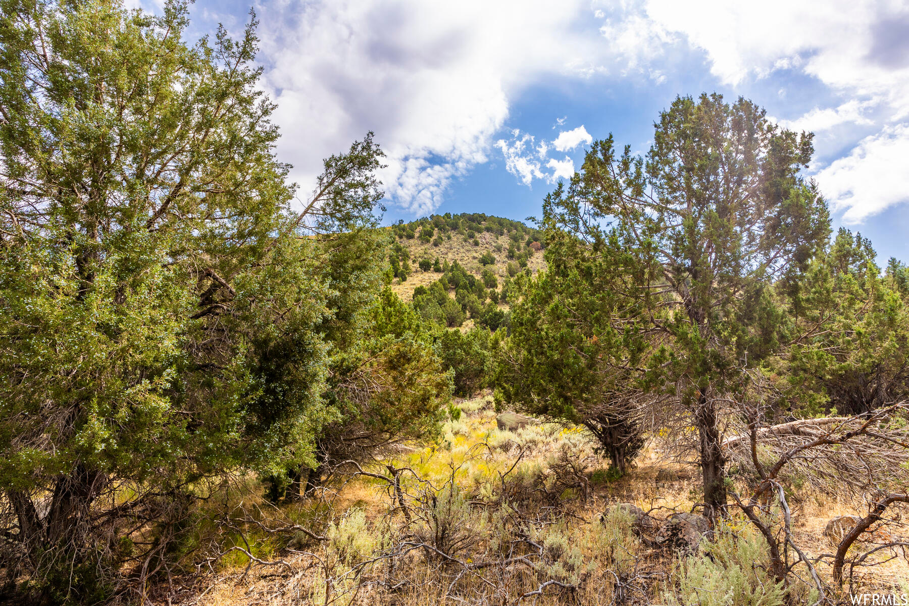 8172 W DRY CANYON #94, Herriman, Utah 84096, ,Land,For sale,DRY CANYON,1900681