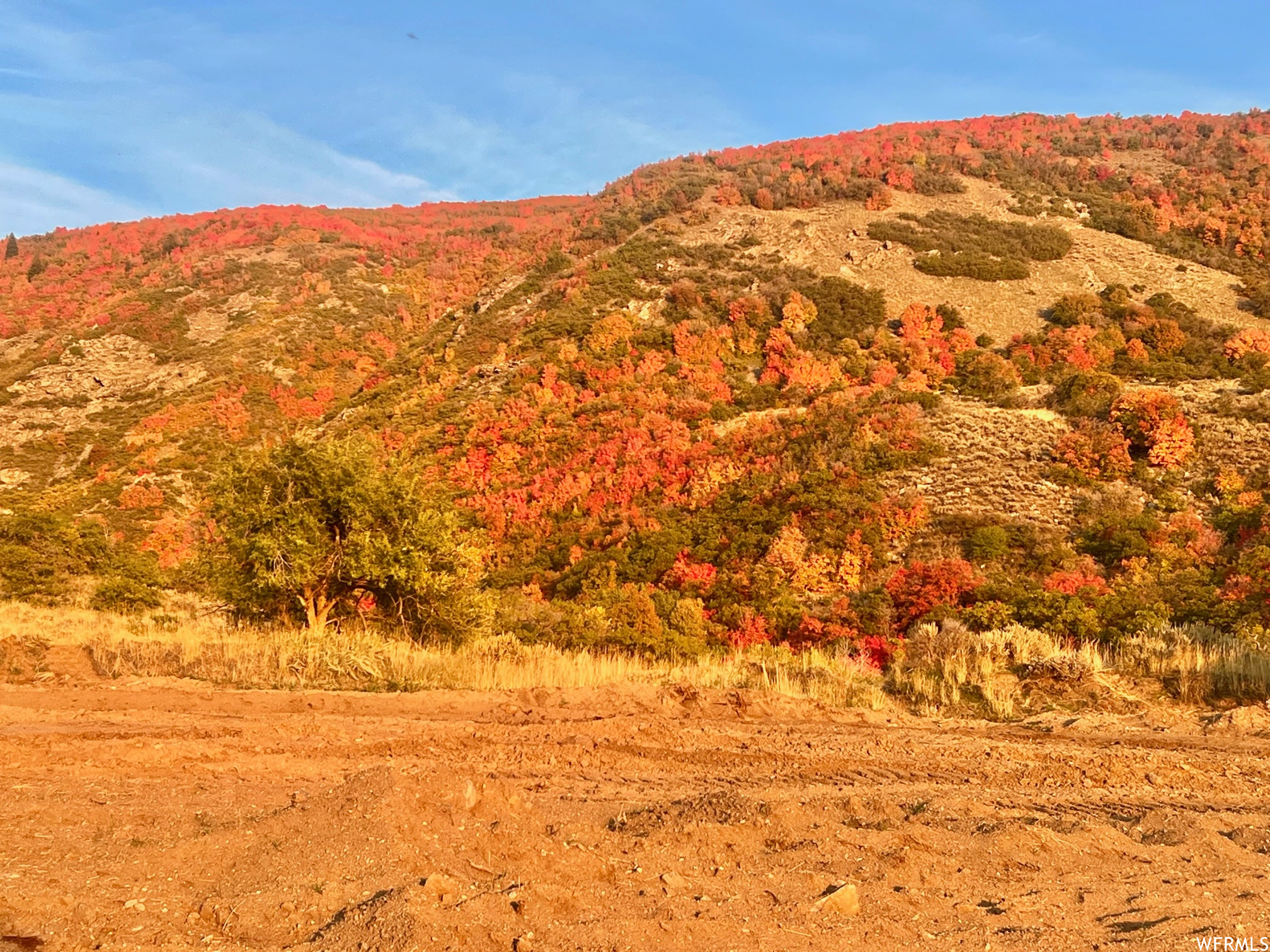 127 N ROCK LOFT RIDGE #22-R, Fruit Heights, Utah 84037, ,Land,For sale,ROCK LOFT RIDGE,1900698