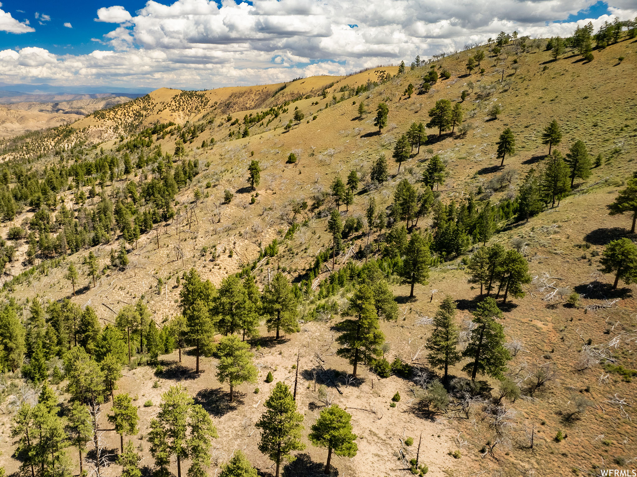 0, Fruitland, Utah 84027, ,Land,For sale,1901482