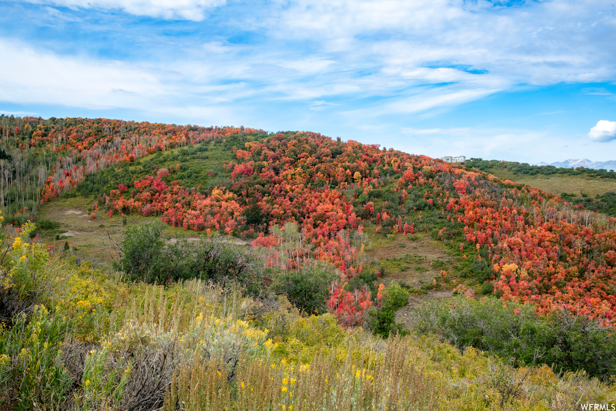 #24, Woodland, Utah 84036, ,Land,For sale,1901543