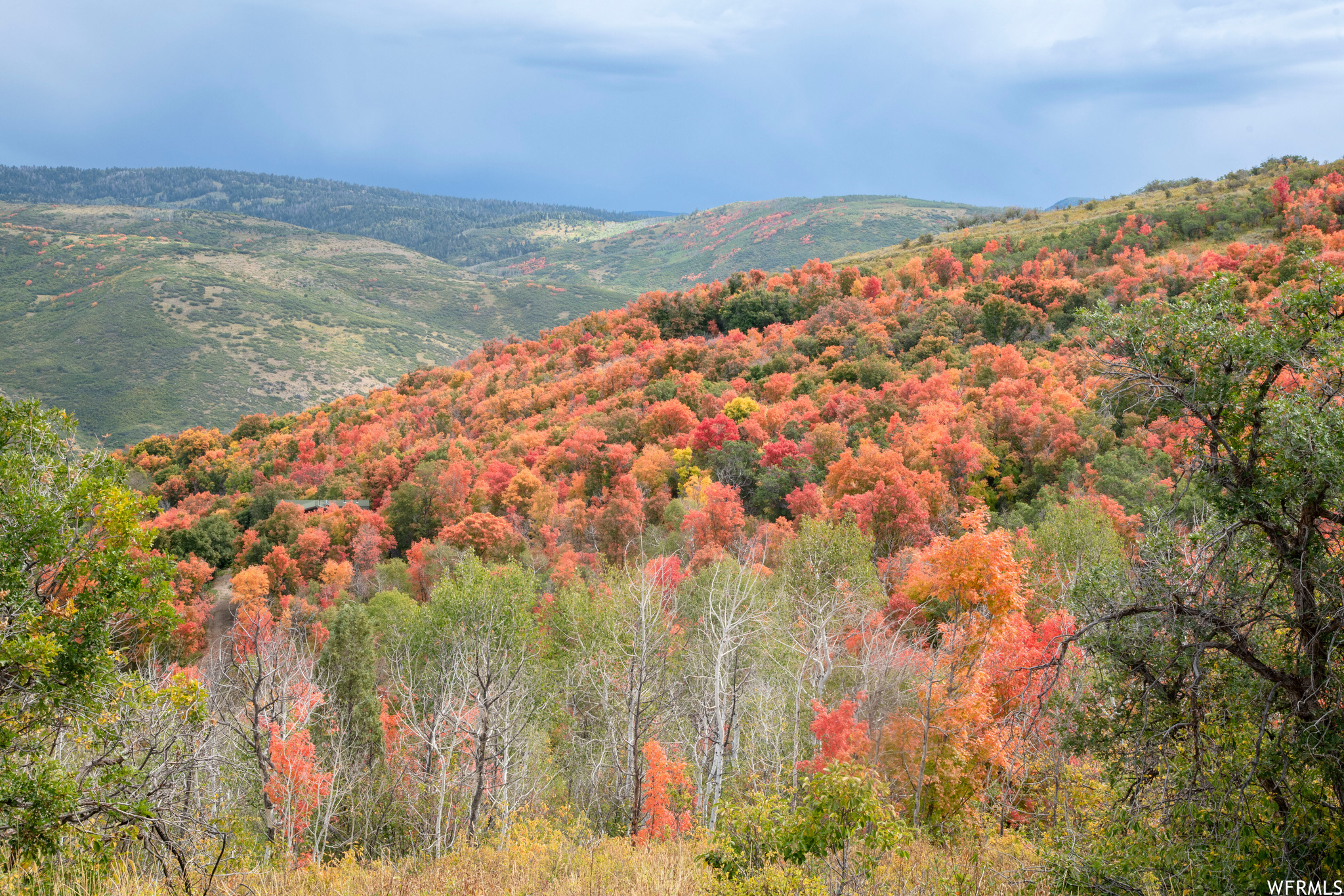 #24, Woodland, Utah 84036, ,Land,For sale,1901543