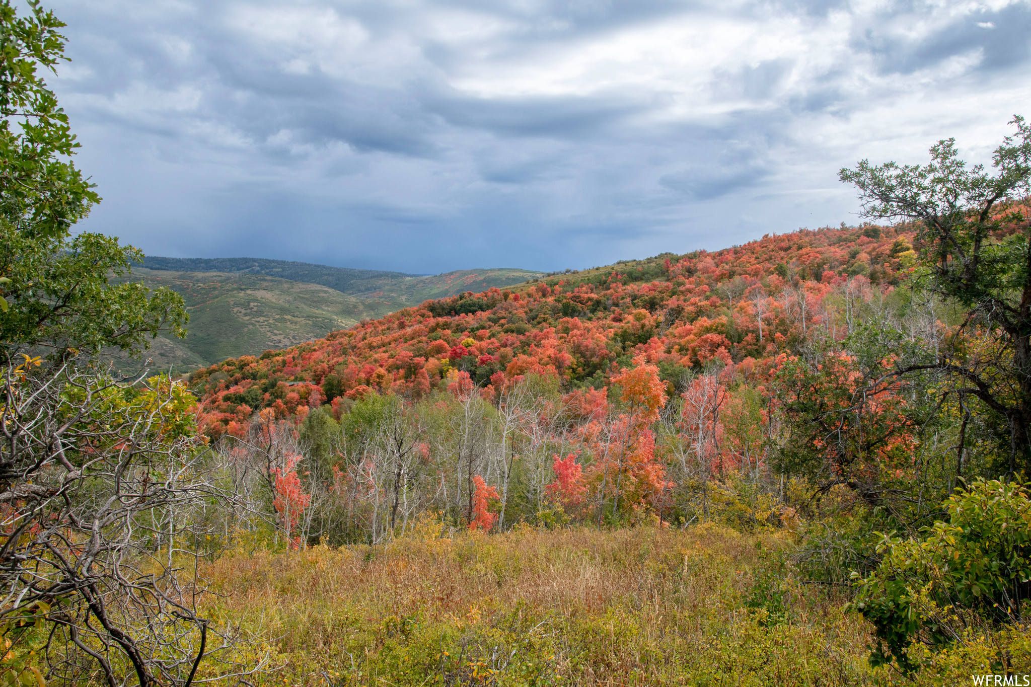 #24, Woodland, Utah 84036, ,Land,For sale,1901543