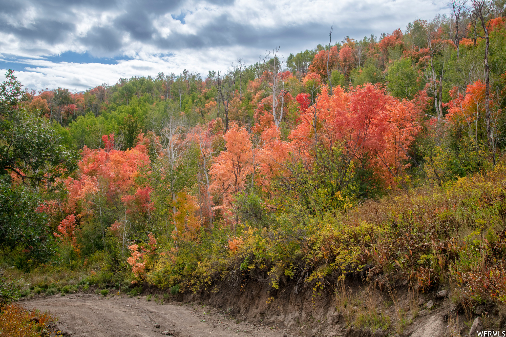 #24, Woodland, Utah 84036, ,Land,For sale,1901543