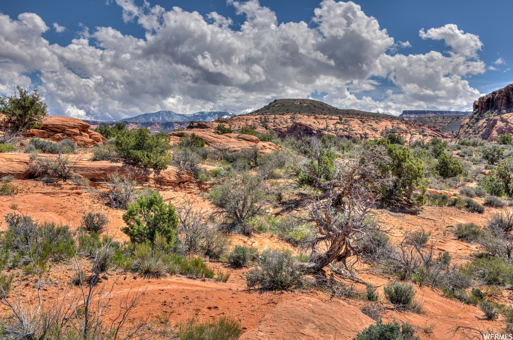 2162 NAVAJO HEIGHTS #2, Moab, Utah 84532, ,Land,For sale,NAVAJO HEIGHTS,1902038