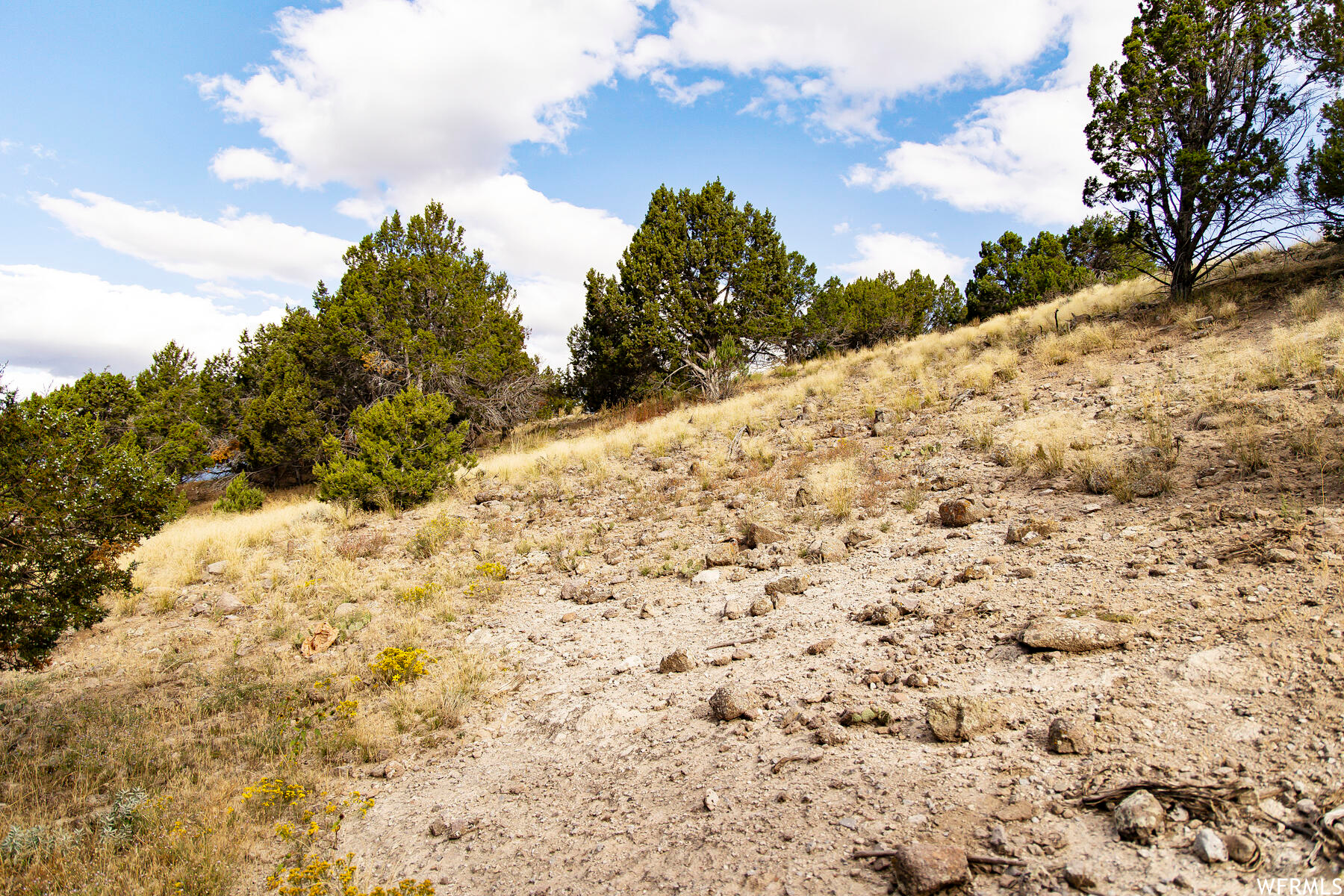 2265 E FLAT TOP #80, Heber City, Utah 84032, ,Land,For sale,FLAT TOP,1902111