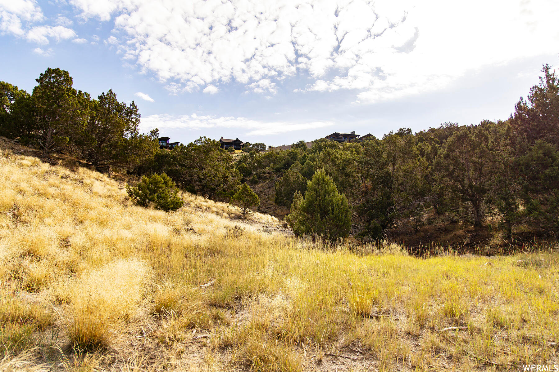 2265 E FLAT TOP #80, Heber City, Utah 84032, ,Land,For sale,FLAT TOP,1902111