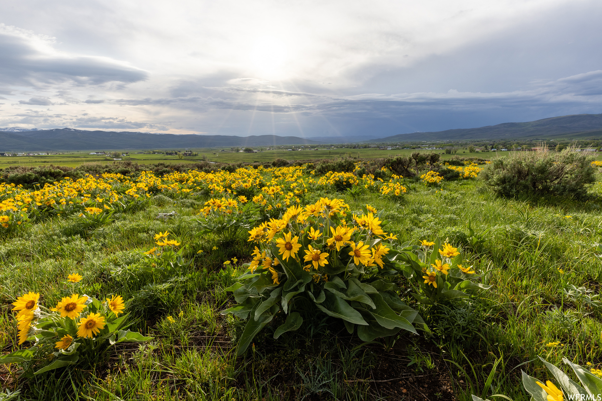 755 E HOYT PEAK RANCH N #1, Marion, Utah 84036, ,Land,For sale,HOYT PEAK RANCH,1902197