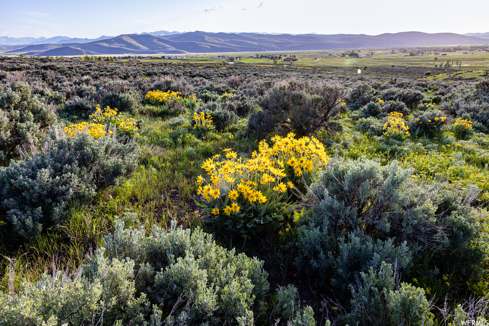 755 E HOYT PEAK RANCH N #1, Marion, Utah 84036, ,Land,For sale,HOYT PEAK RANCH,1902197