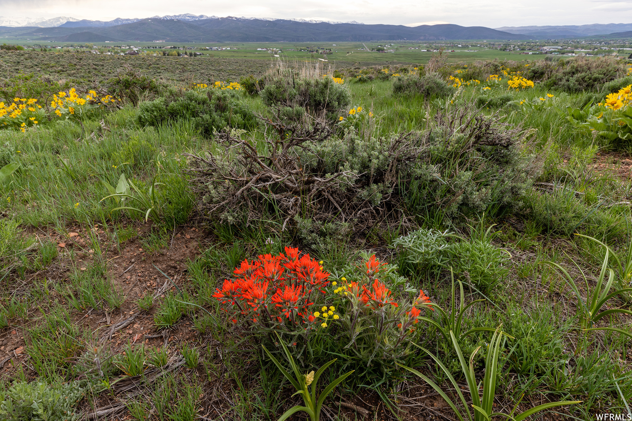 755 E HOYT PEAK RANCH N #1, Marion, Utah 84036, ,Land,For sale,HOYT PEAK RANCH,1902197