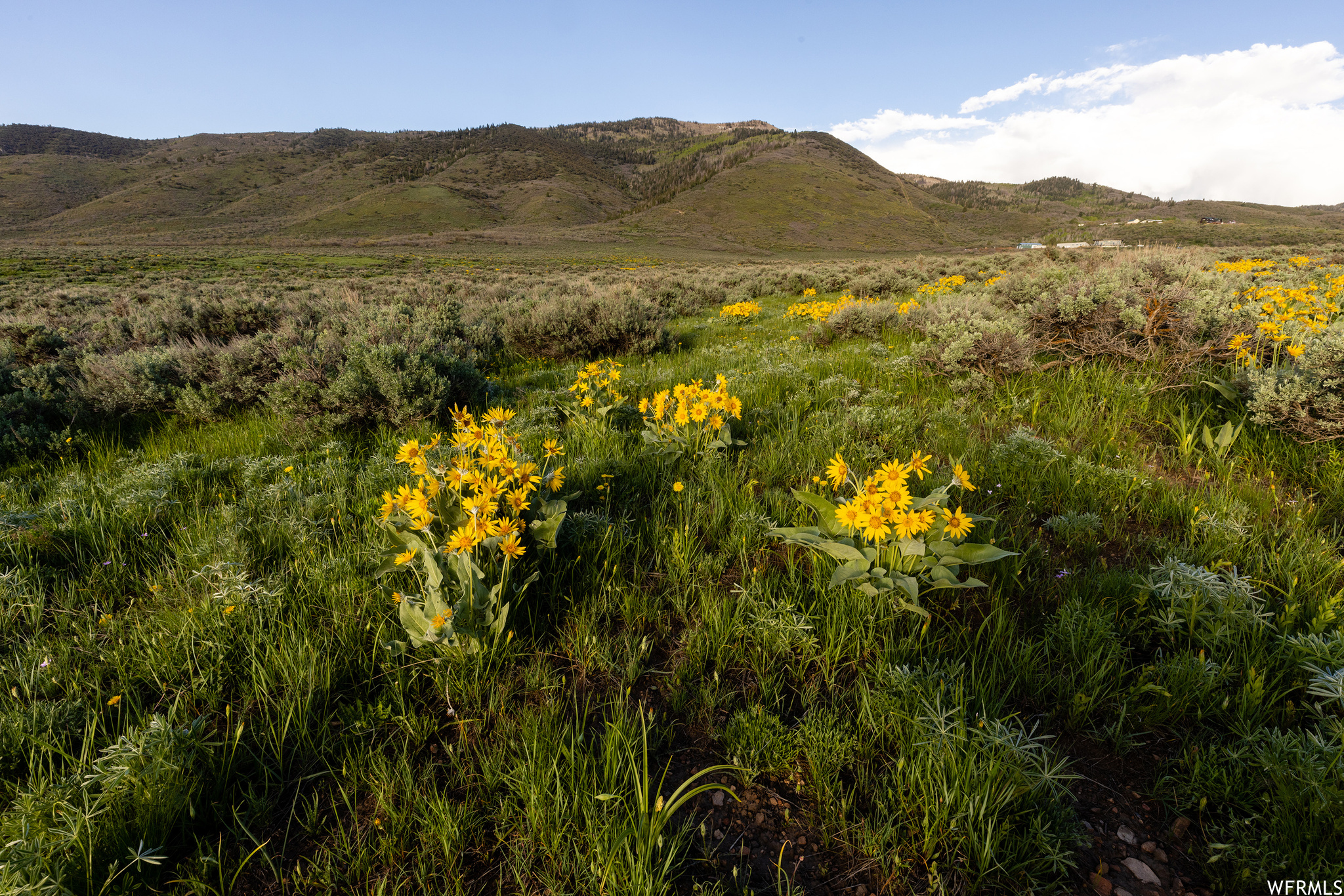 755 E HOYT PEAK RANCH N #1, Marion, Utah 84036, ,Land,For sale,HOYT PEAK RANCH,1902197