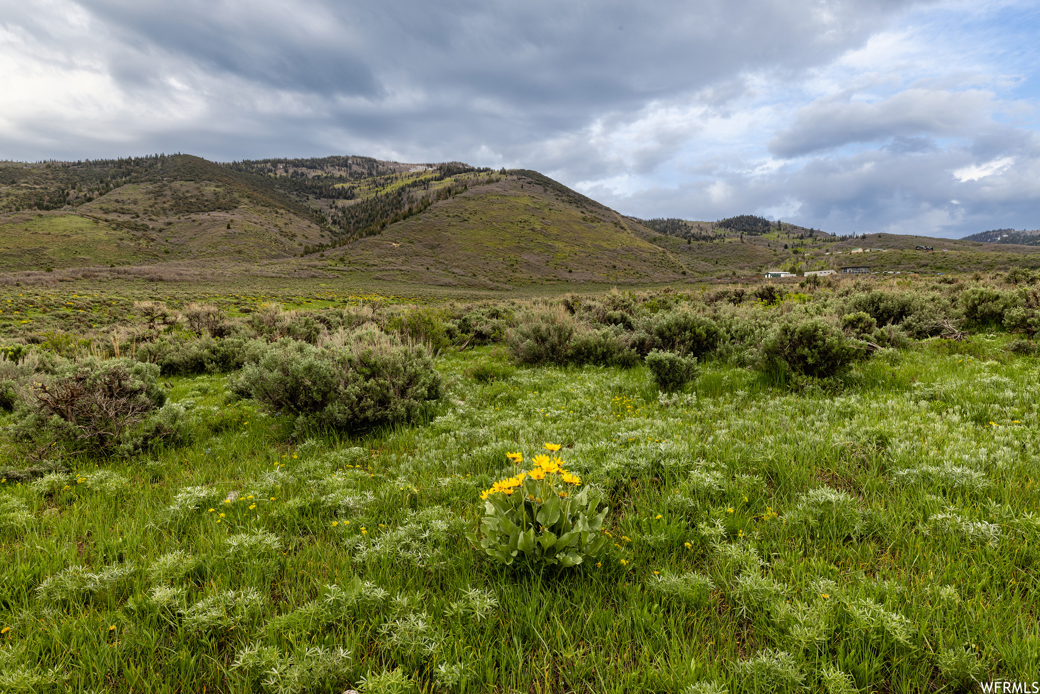 755 E HOYT PEAK RANCH N #1, Marion, Utah 84036, ,Land,For sale,HOYT PEAK RANCH,1902197