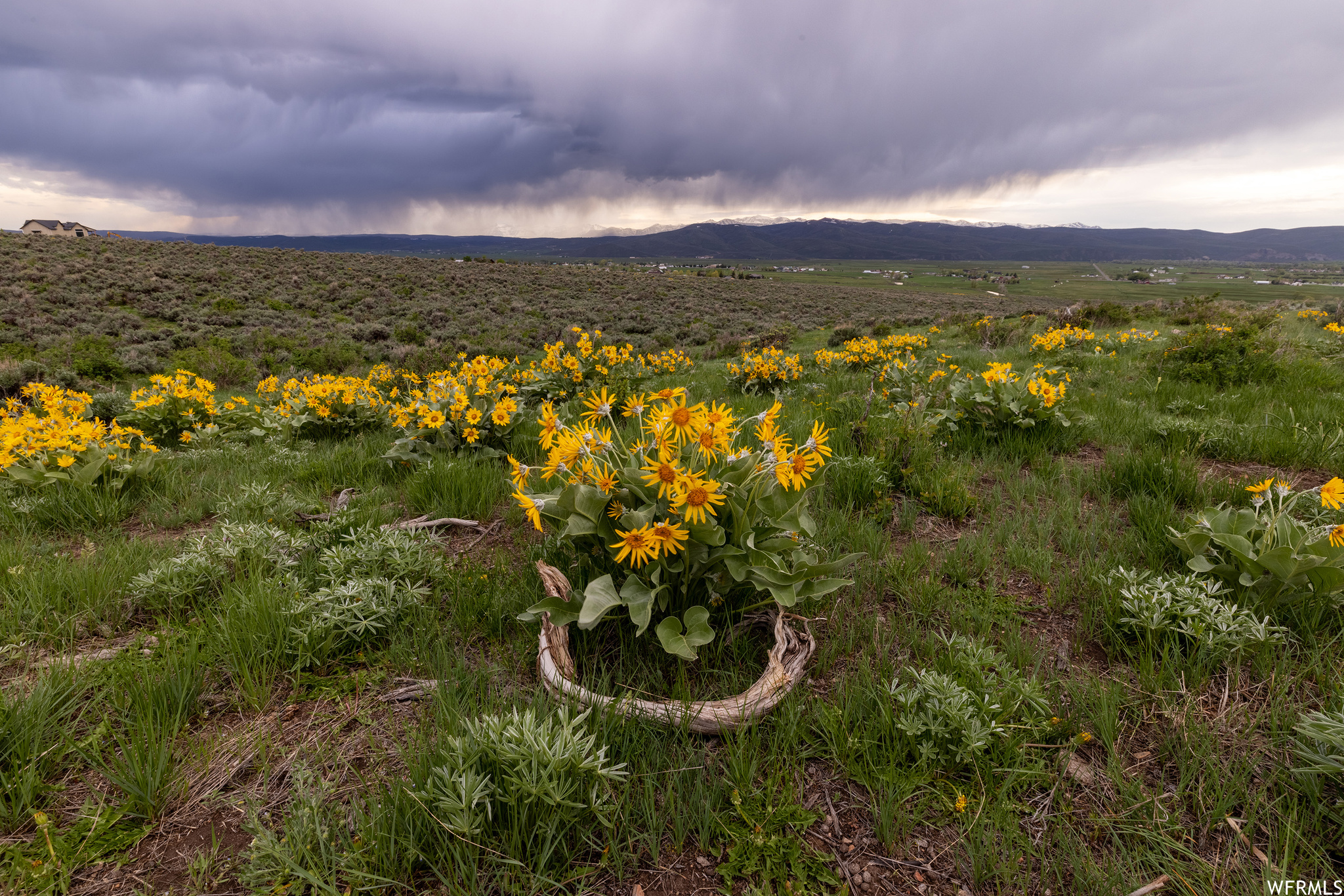 755 E HOYT PEAK RANCH N #1, Marion, Utah 84036, ,Land,For sale,HOYT PEAK RANCH,1902197