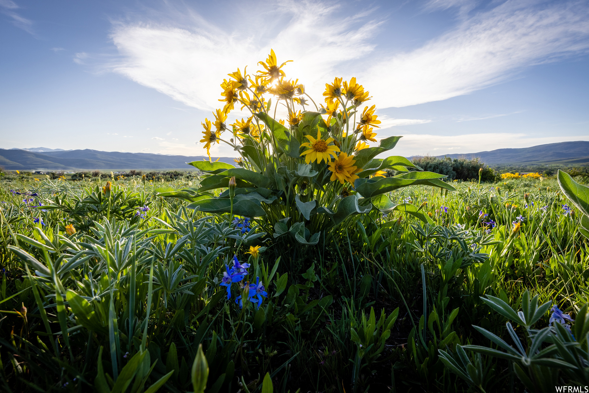 755 E HOYT PEAK RANCH N #1, Marion, Utah 84036, ,Land,For sale,HOYT PEAK RANCH,1902197