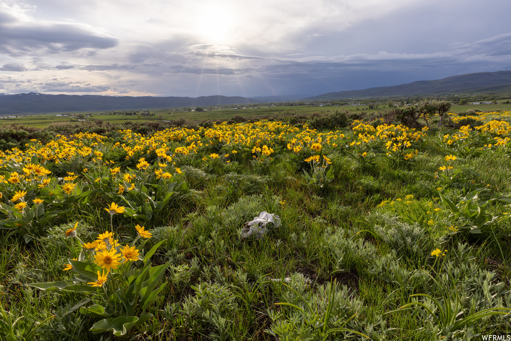 755 E HOYT PEAK RANCH N #1, Marion, Utah 84036, ,Land,For sale,HOYT PEAK RANCH,1902197