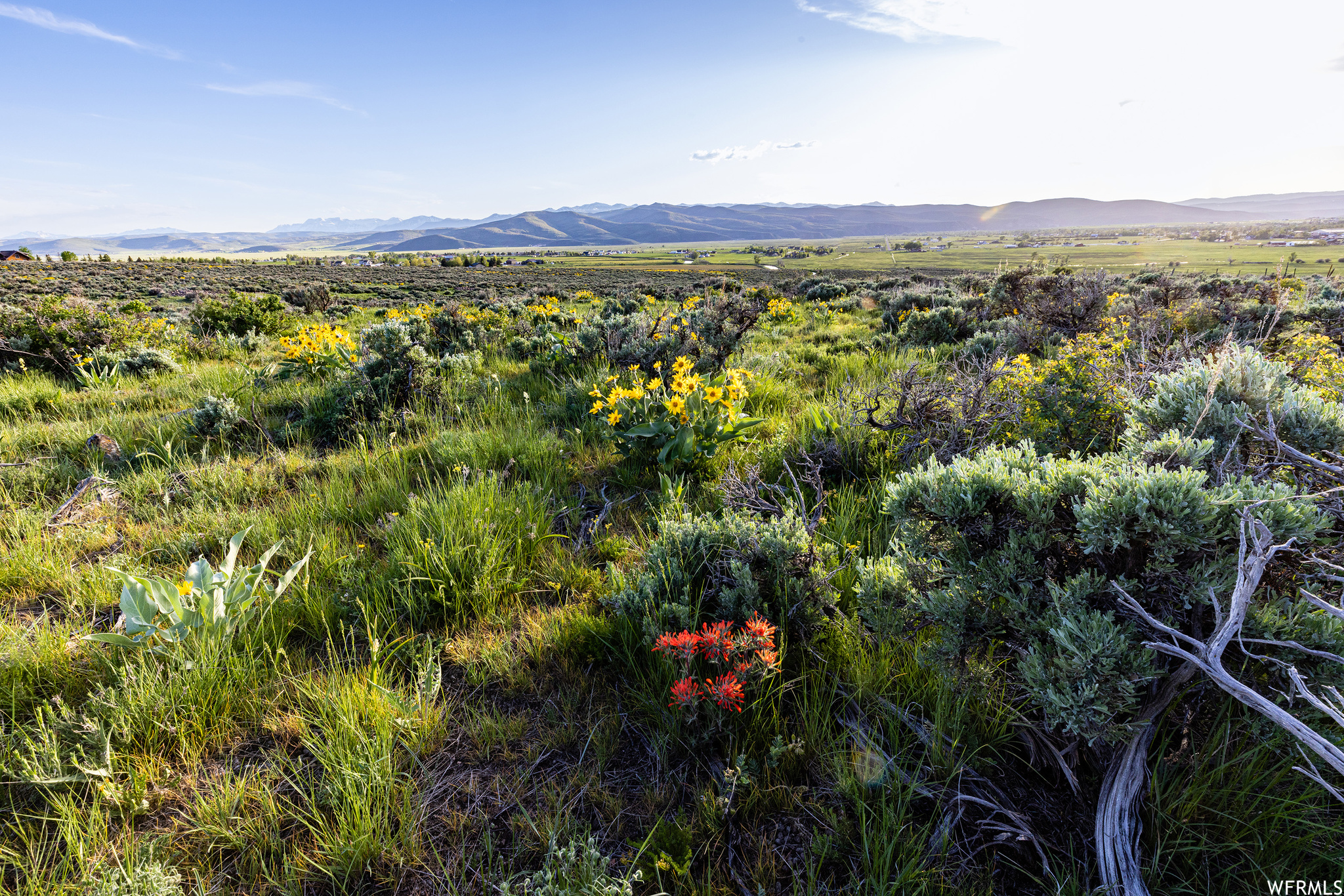 755 E HOYT PEAK RANCH N #1, Marion, Utah 84036, ,Land,For sale,HOYT PEAK RANCH,1902197