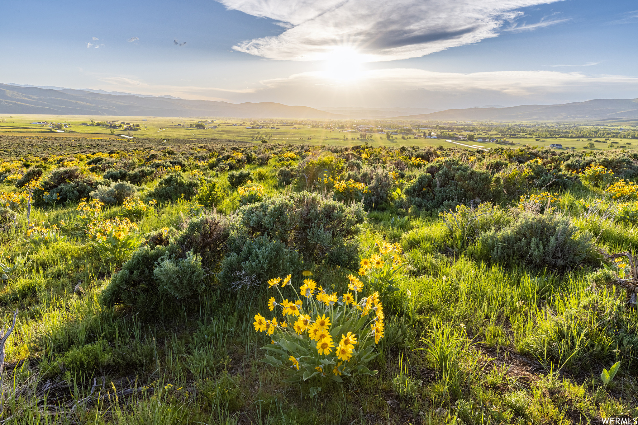 755 E HOYT PEAK RANCH N #1, Marion, Utah 84036, ,Land,For sale,HOYT PEAK RANCH,1902197