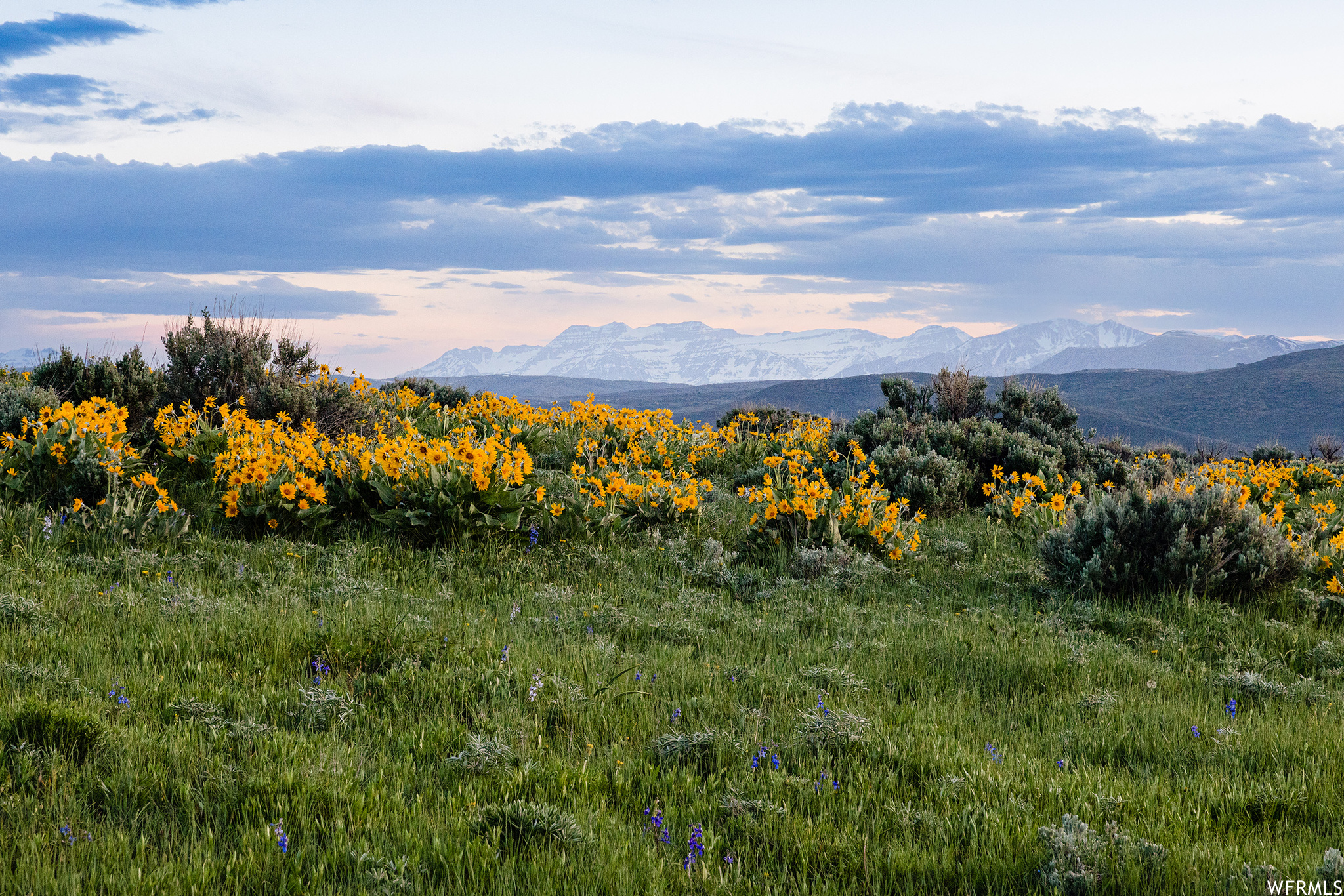 755 E HOYT PEAK RANCH N #1, Marion, Utah 84036, ,Land,For sale,HOYT PEAK RANCH,1902197