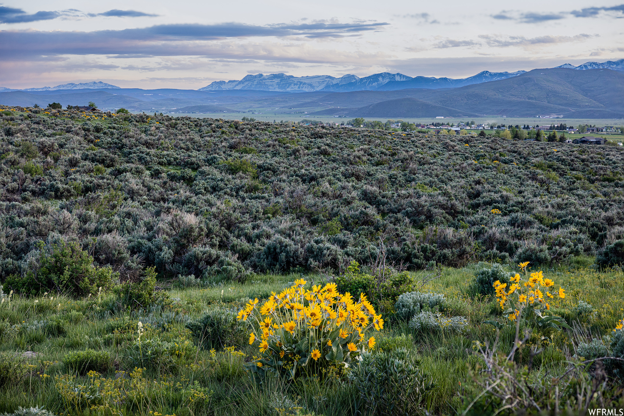 755 E HOYT PEAK RANCH N #1, Marion, Utah 84036, ,Land,For sale,HOYT PEAK RANCH,1902197