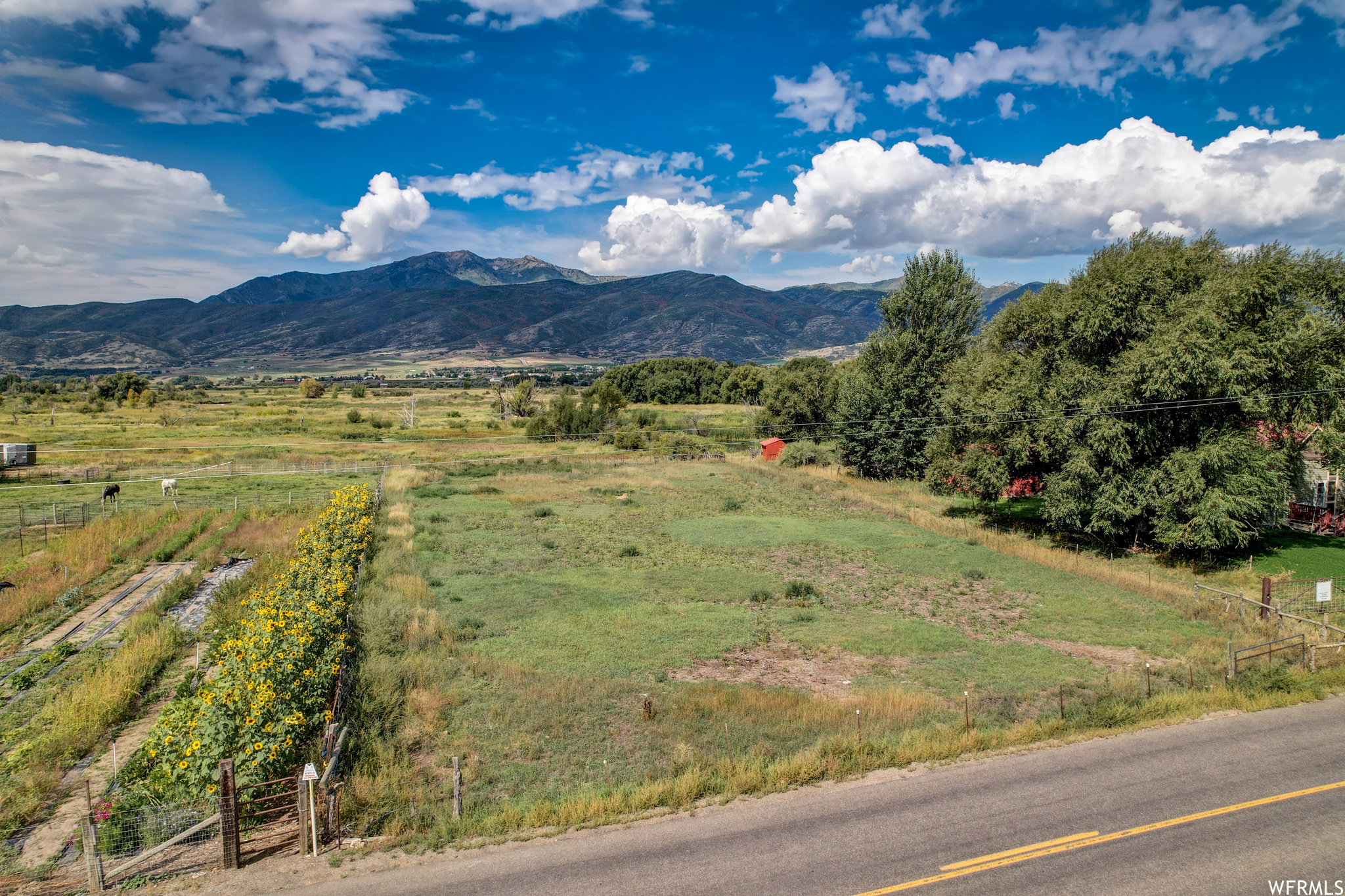 1464 CASPERVILLE #1242, Heber City, Utah 84032, ,Land,For sale,CASPERVILLE,1902650