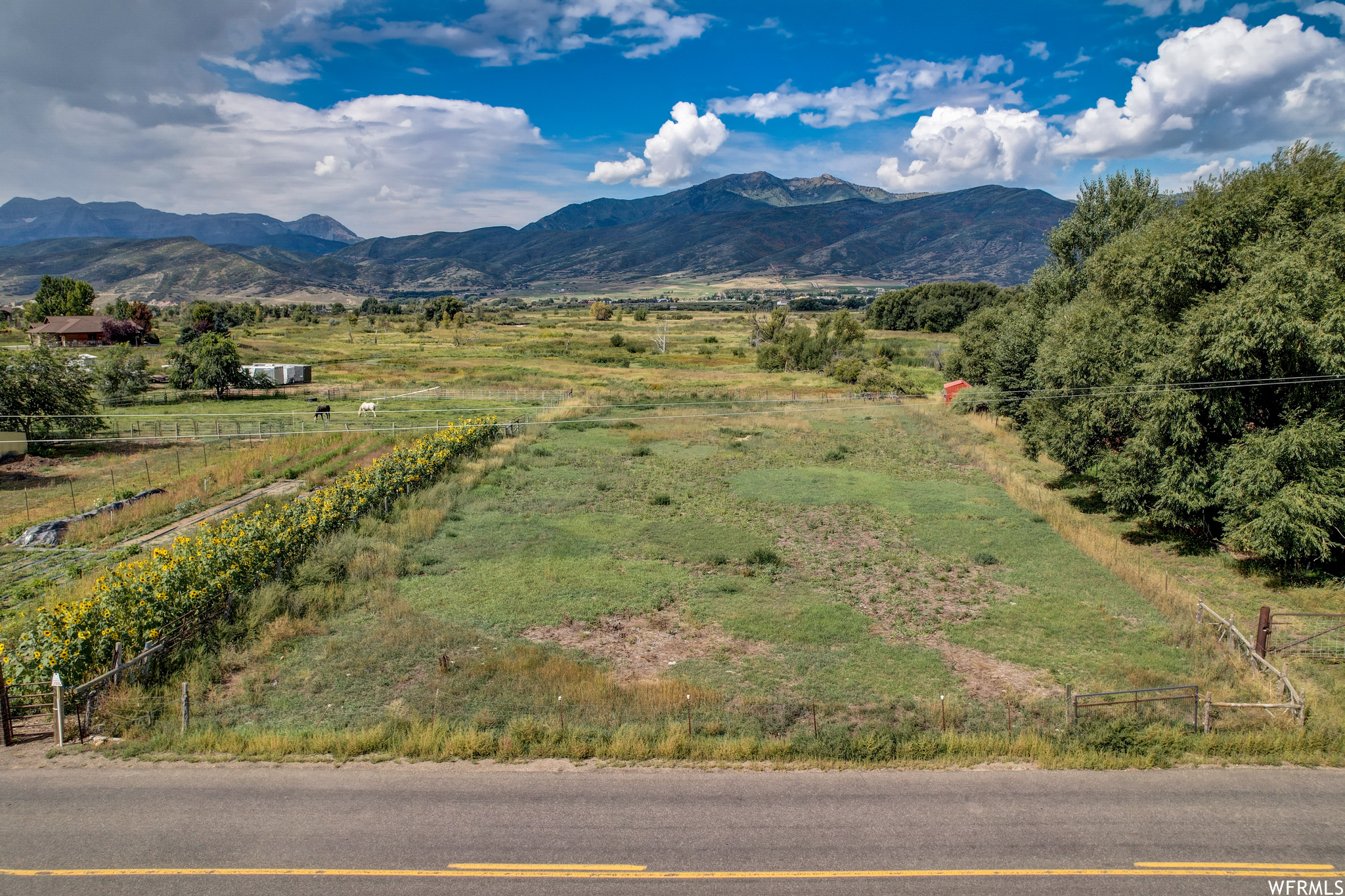 1464 CASPERVILLE #1242, Heber City, Utah 84032, ,Land,For sale,CASPERVILLE,1902650