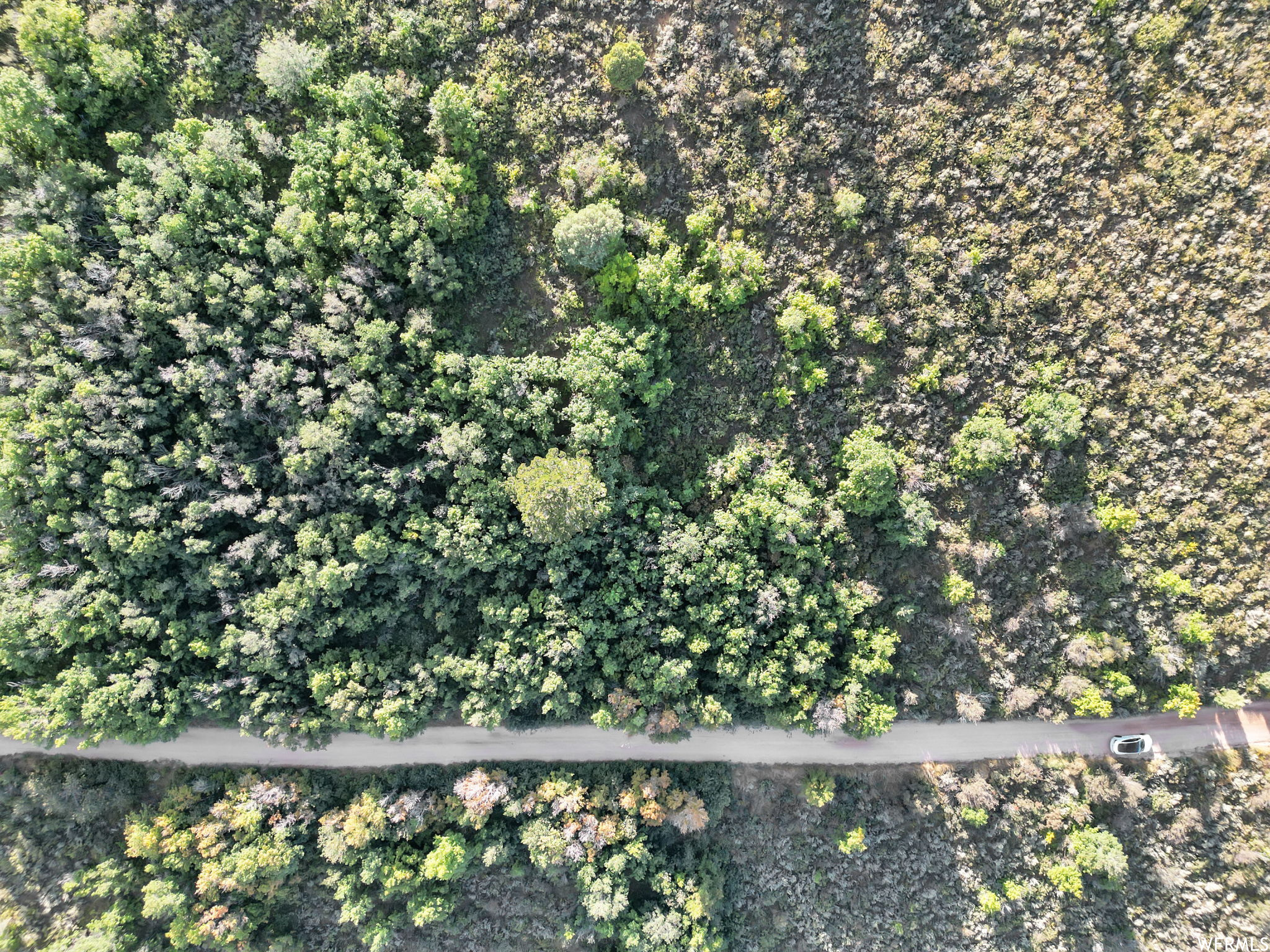 View of bird's eye view