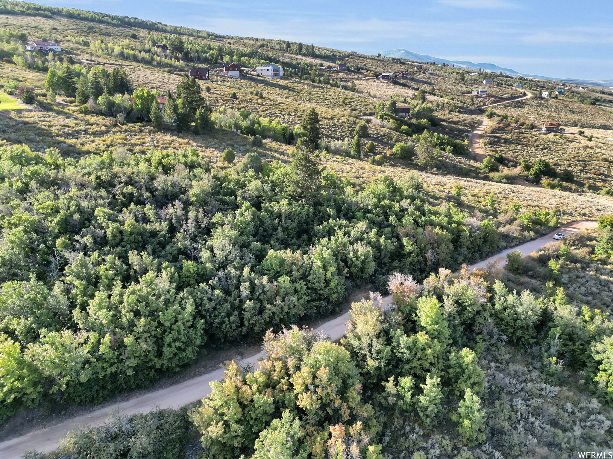 View of bird's eye view