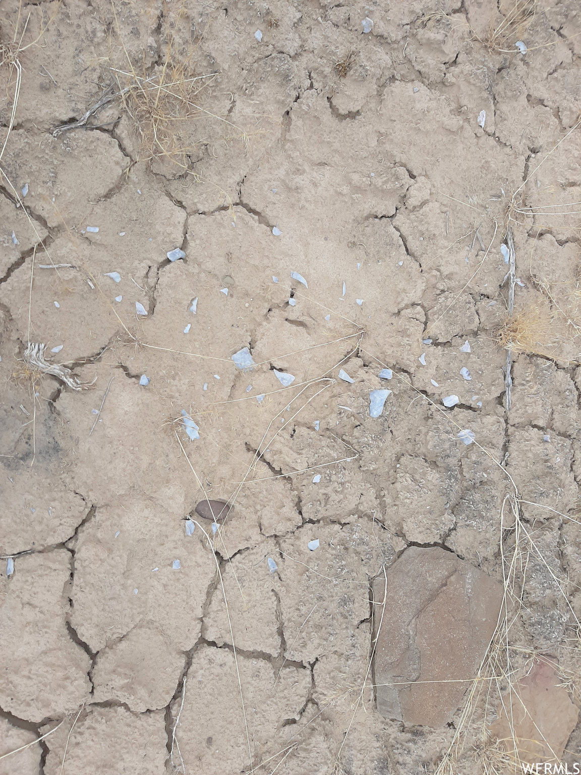 Arrowhead Chert flakes scattered here and there in the wash.