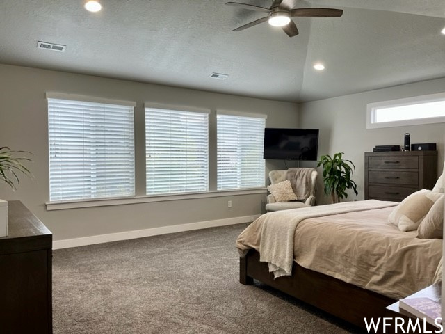 Master bedroom vaulted ceiling, ceiling fan, & valley views.