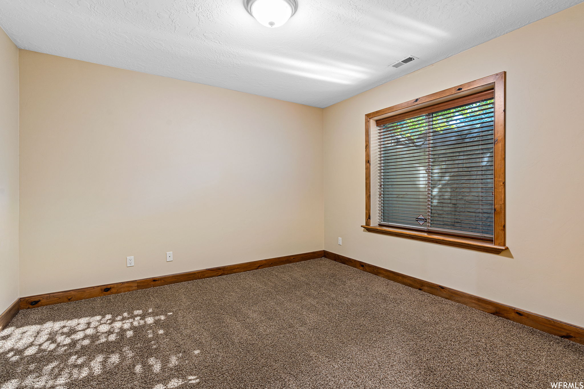 Empty room with carpet and a textured ceiling