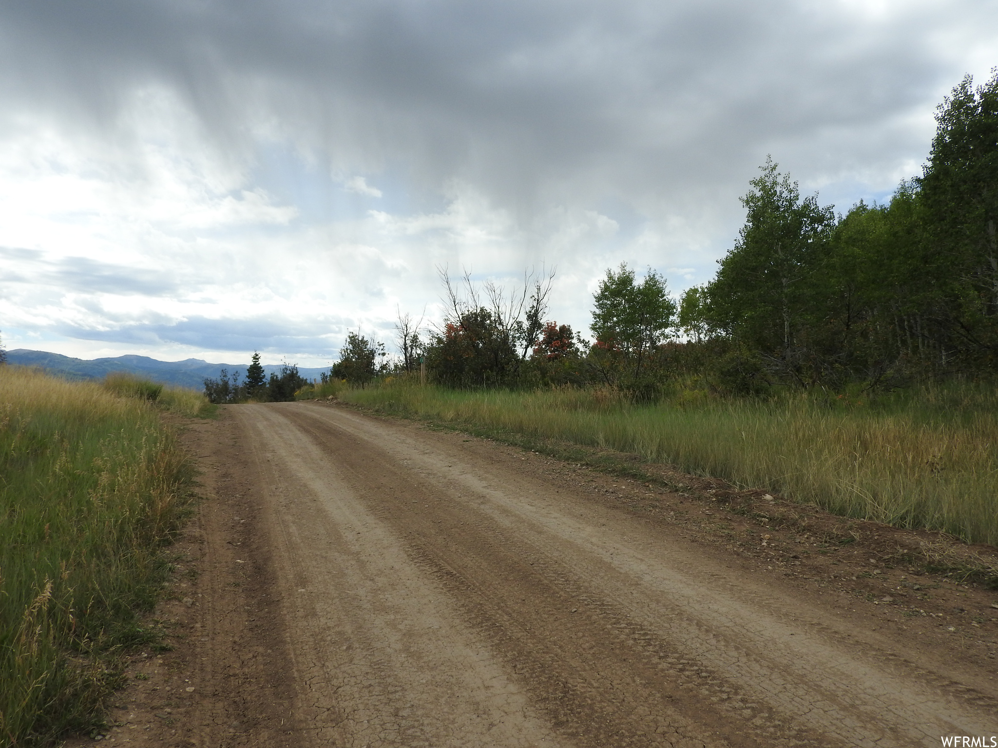 14 E MAIN ROAD #14, Fairview, Utah 84629, ,Land,For sale,MAIN ROAD,1905635