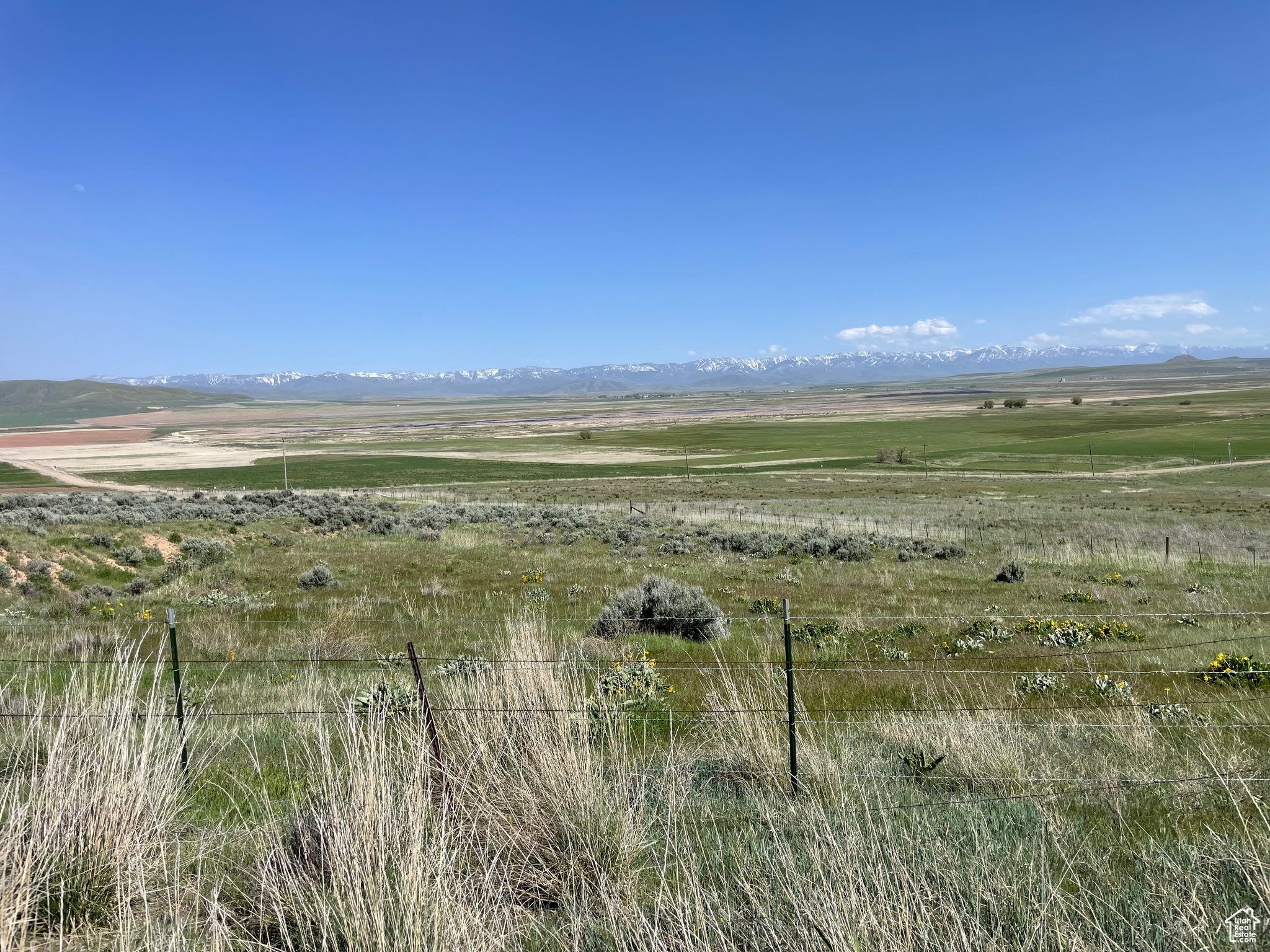 Clifton, Idaho 83228, ,Land,For sale,1906367