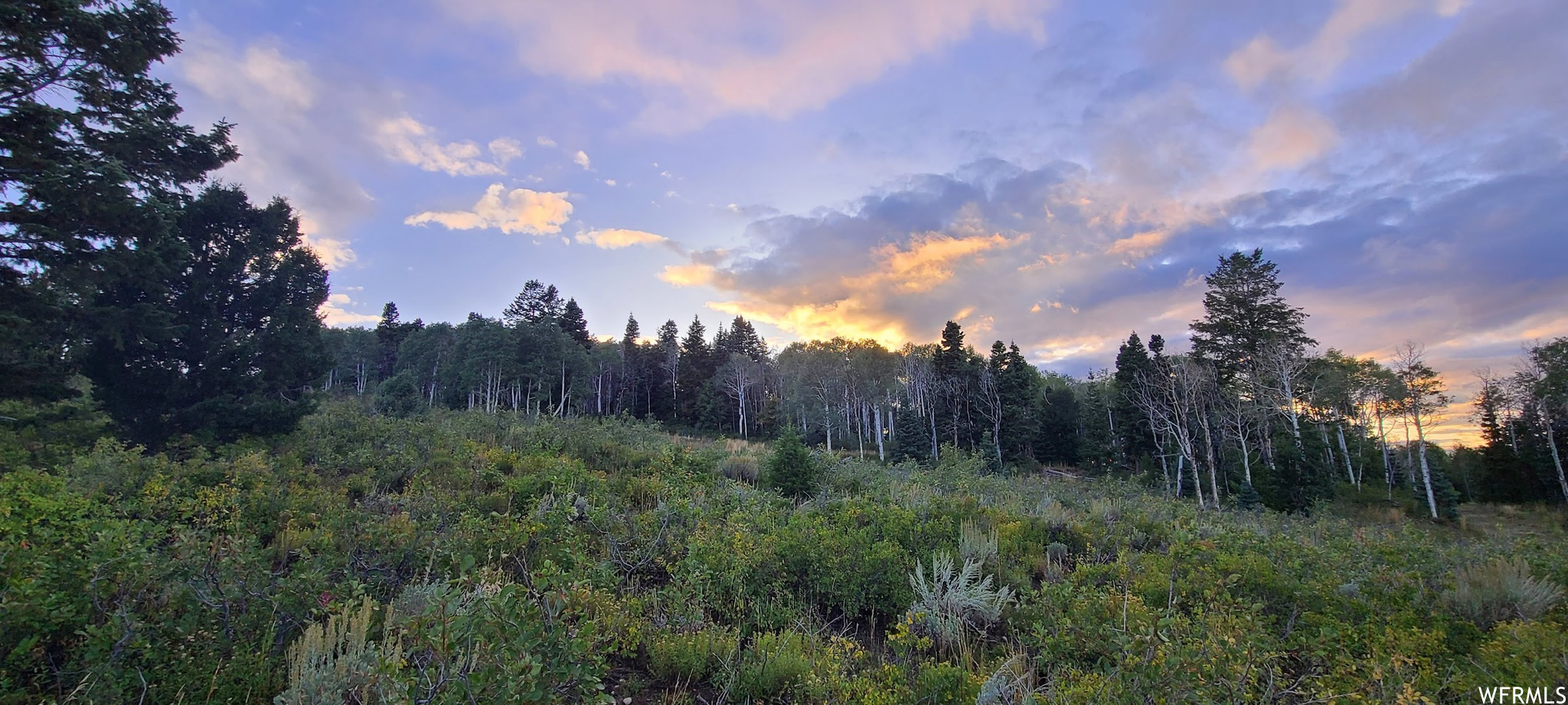 View of nature at dusk