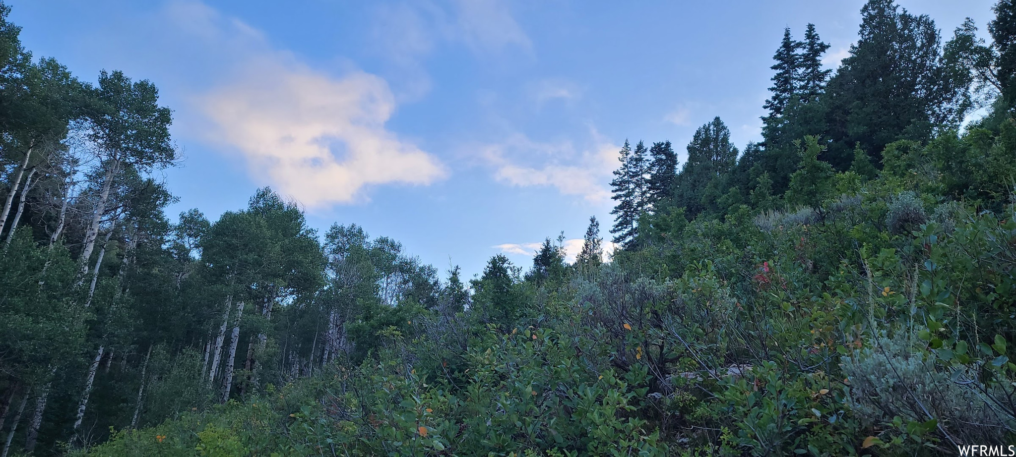 View of mother earth's splendor